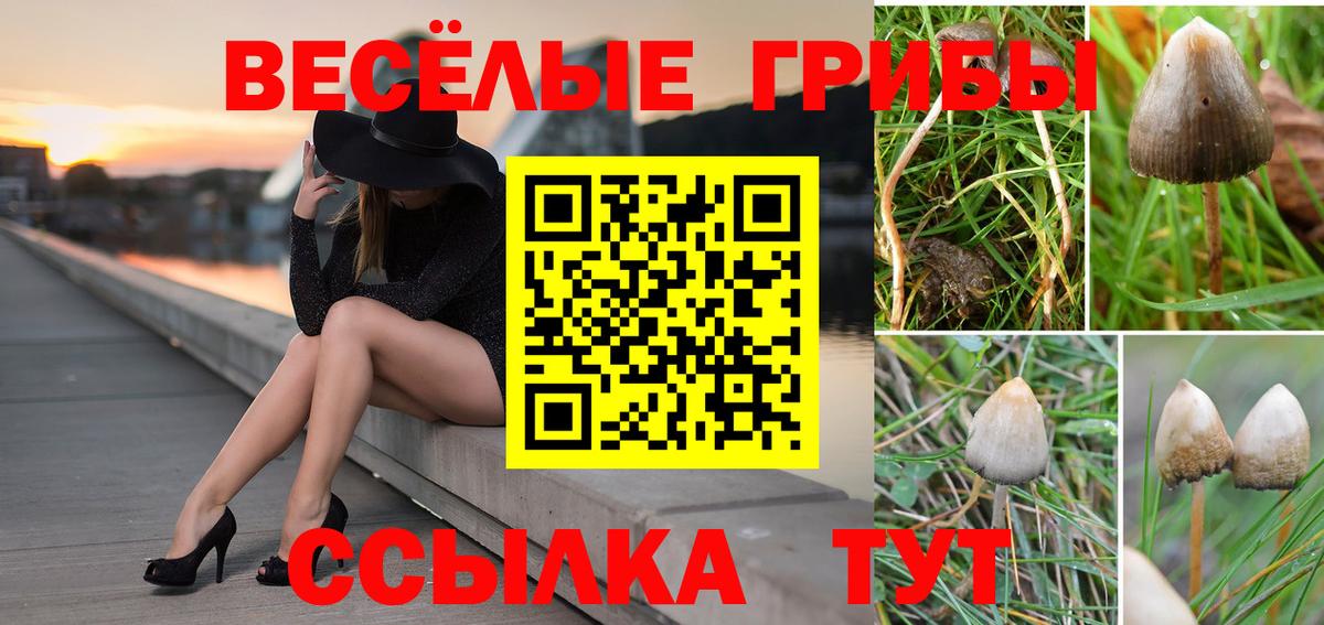 Меф мяу мяу Балахна