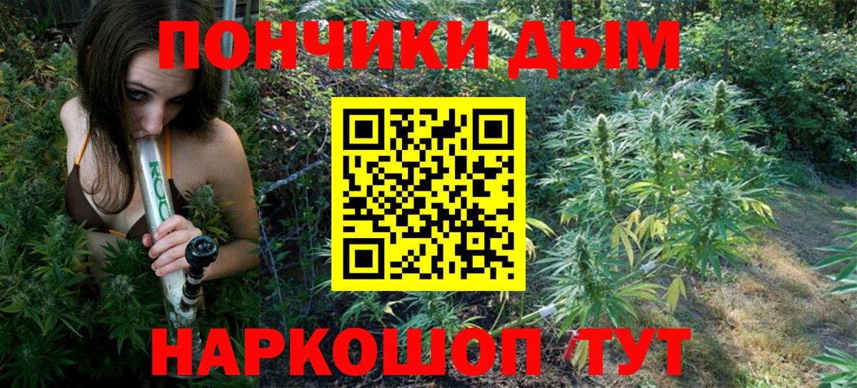 Шишки марихуана гибрид Балахна